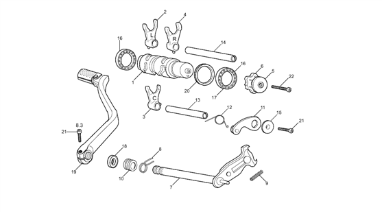 12 - SELECTOR