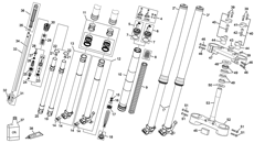2 - FORK WP XPLOR