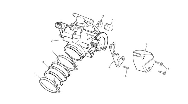 INJECTOR BODY