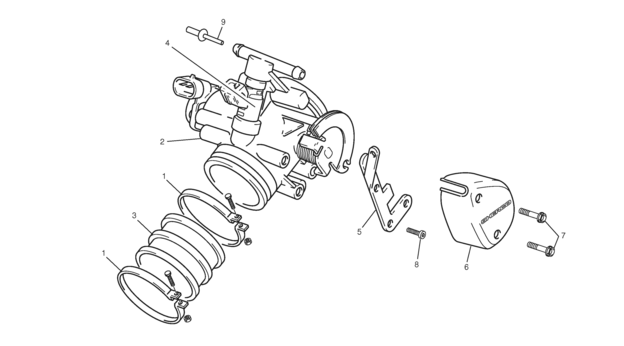 INJECTOR BODY