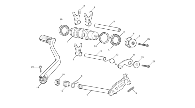 14 - SELECTOR