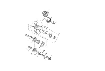 CANKSHAFT ASSY 125 4T