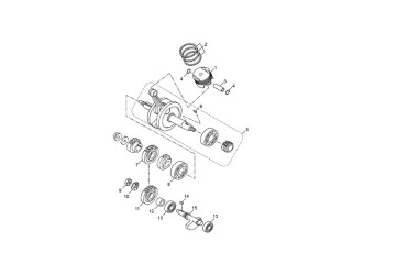 CRANKSHAFT BEARING D.25x62x17