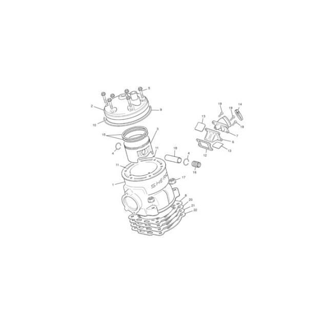 CYLINDER HEAD 2.9 CABESTANY
