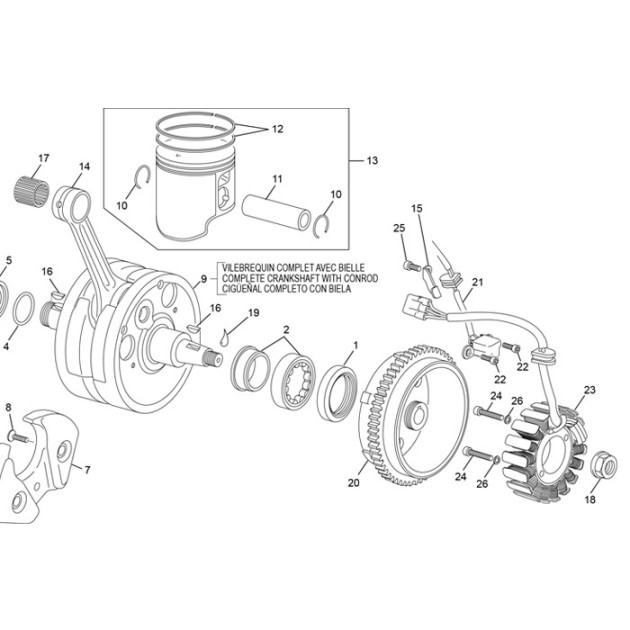 IGNITION ROTOR 250/300 SE EFI