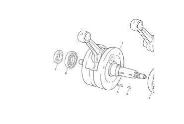 CRANKSHAFT BEARING 6206TN9/C3