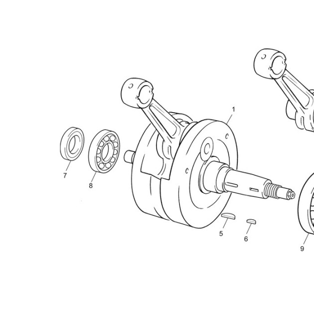CRANKSHAFT BEARING 6206TN9/C3