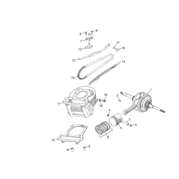 TIMING CHAIN