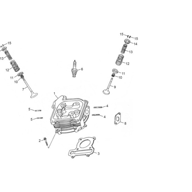 SPARK PLUGS (NGK WITH R)