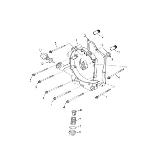 BOLT M6*100