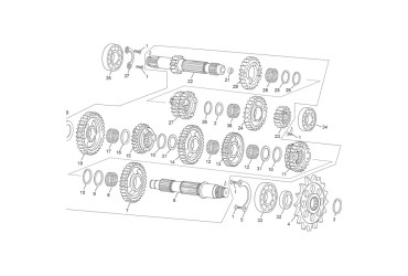 GEAR 3/4 Z19/21 250 END BV