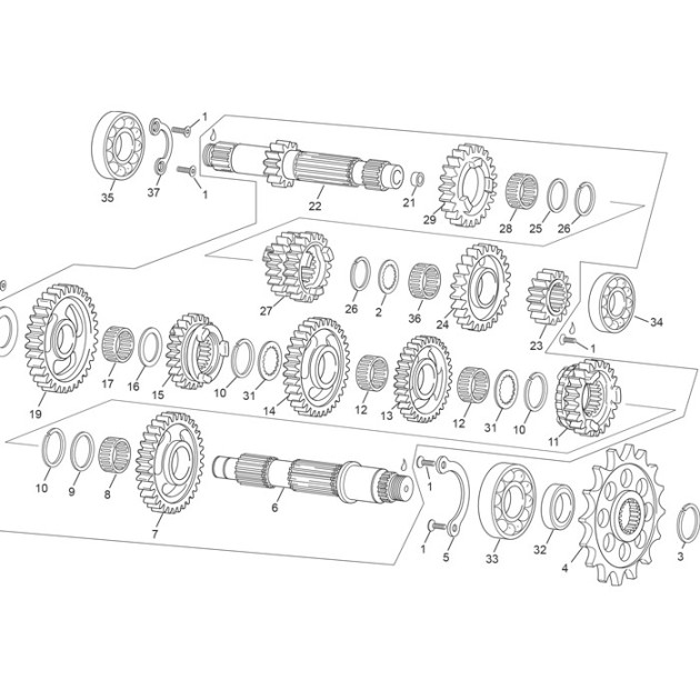 GEAR 3/4 Z19/21 250 END BV