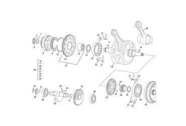 OIL PLUG 7 MM