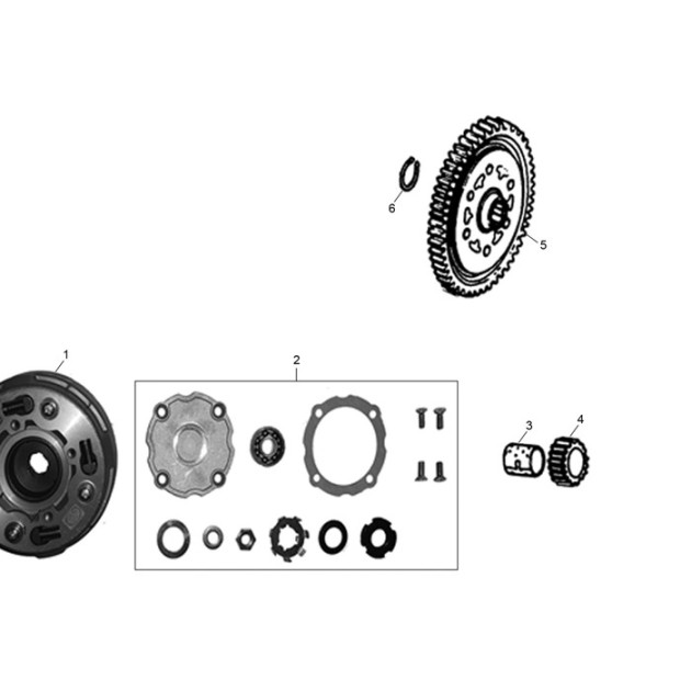 DRIVEN GEAR