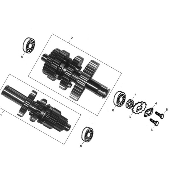 OIL SEAL