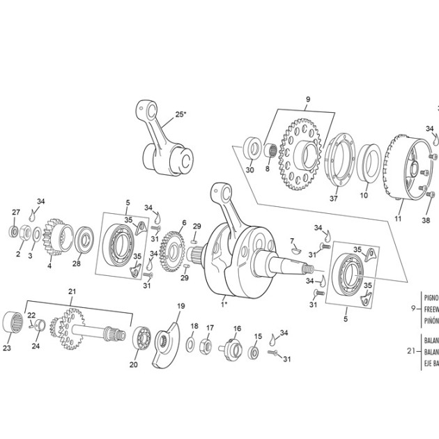 NEEDL 3X15.8