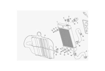 PROTECTOR RADIATOR