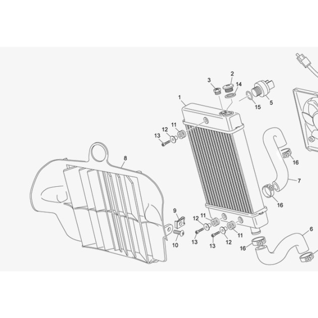 PROTECTOR RADIATOR