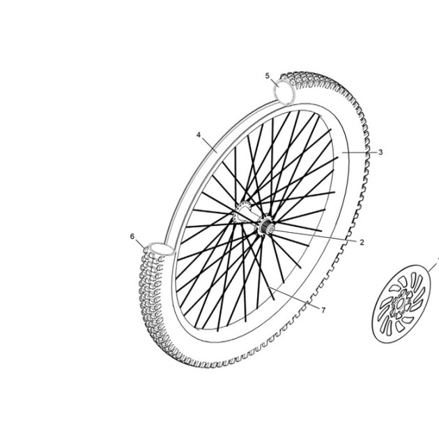 FRONT TYRE 29X2.60 WILD AM2 COMPETITION LINE TS TLR