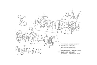 BALANCE GEAR SET  250/300 SEF