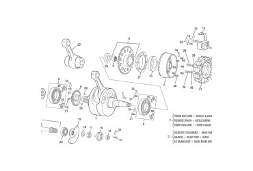 FREE WHEEL SPACER  250/300 SEF EVO