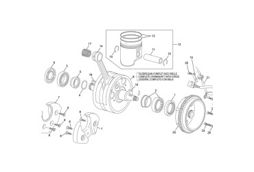 STOP RING 250/300 2T EVO