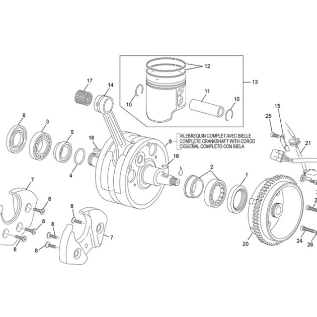 STOP RING 250/300 2T EVO