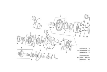CRANKSHAFT ASSY 300 SEF BEARING SHELL  EVO 2