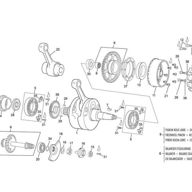 CRANKSHAFT ASSY 300 SEF BEARING SHELL  EVO 2