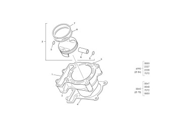 PISTON PIN 300 SEF EVO