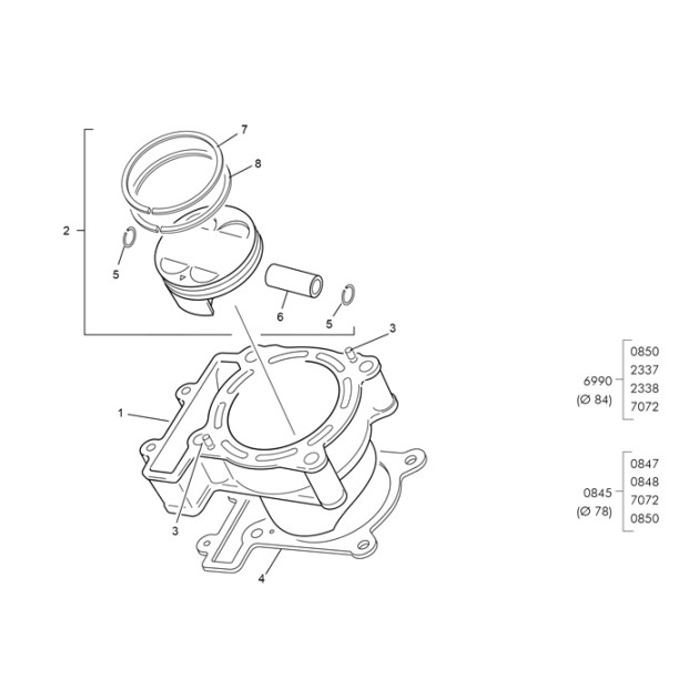 PISTON PIN 300 SEF EVO
