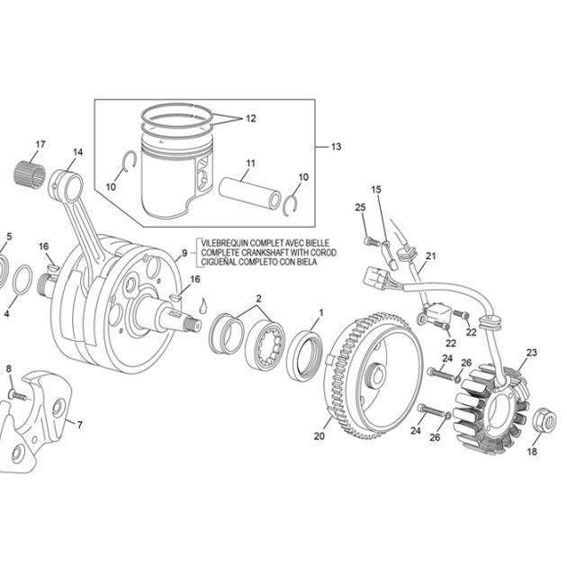 IGNITION ROTOR 250 SE EVO 2
