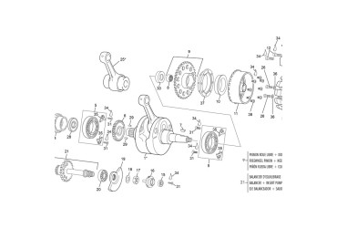 CRANKSHAFT ASSY 250 SEF 52.2 LIGHT