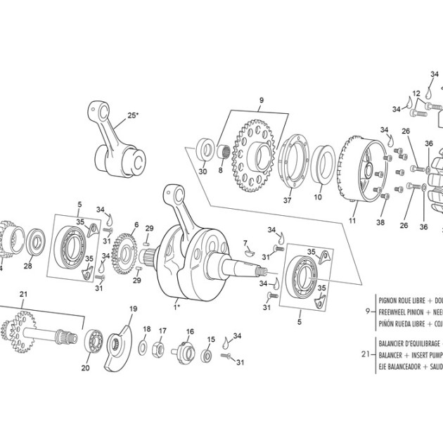 CRANKSHAFT ASSY 250 SEF 52.2 LIGHT