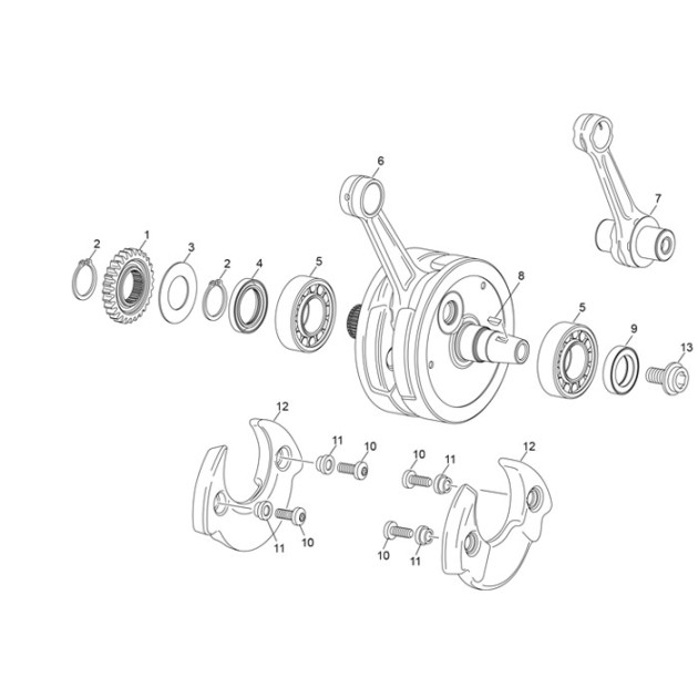 CRANK SHAFT PLASTIC WEIGHT 250/300 SC ST 23