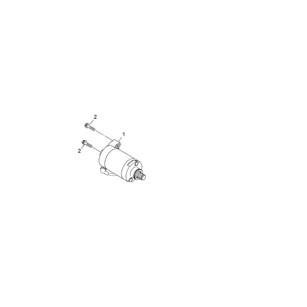 STARTING MOTOR ASSY