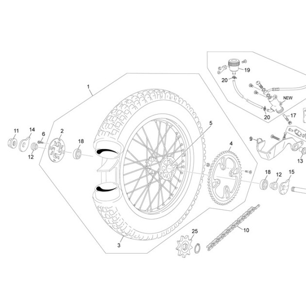RIGHT REAR AXLE EXCENTRIC