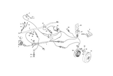 SPARK PLUG ANTIPARASITE HOMOL