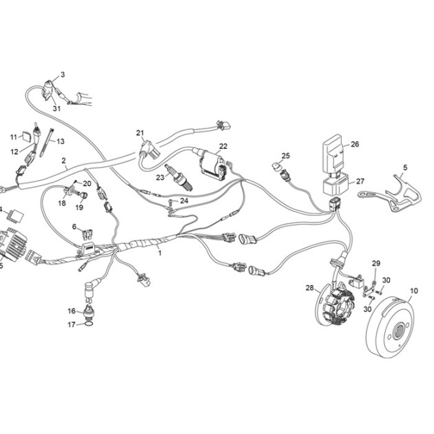 SPARK PLUG ANTIPARASITE HOMOL