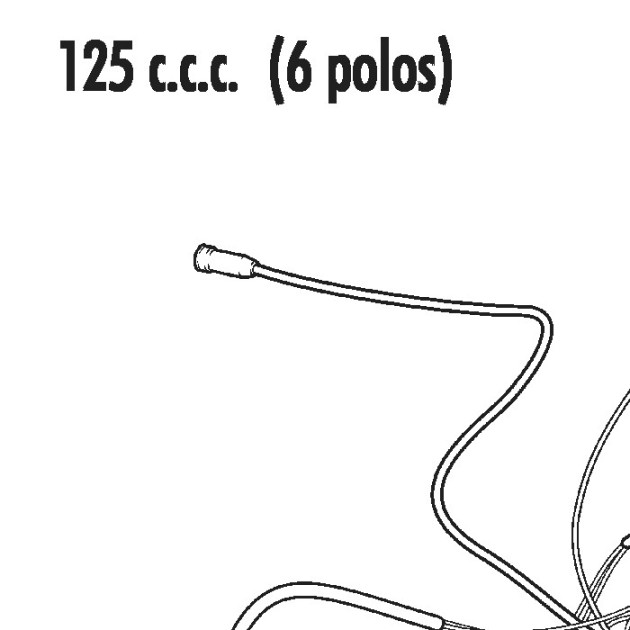 HORN 125 CITY CORP