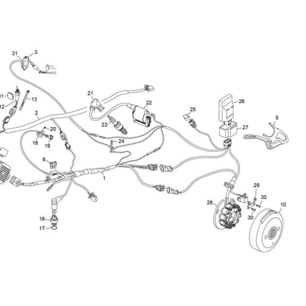 SCREW CHC 5X6