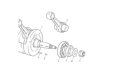BEARING NJ 206 ECP