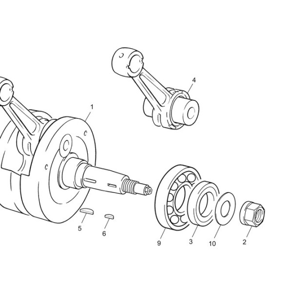 BEARING NJ 206 ECP