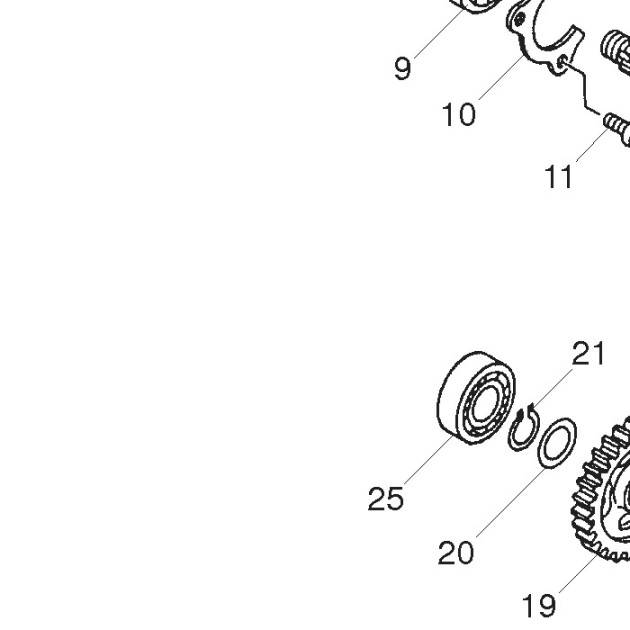 OIL SEAL