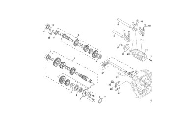 OIL SEAL