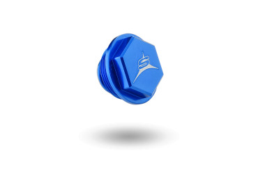 REAR BRAKE PUMP CAP