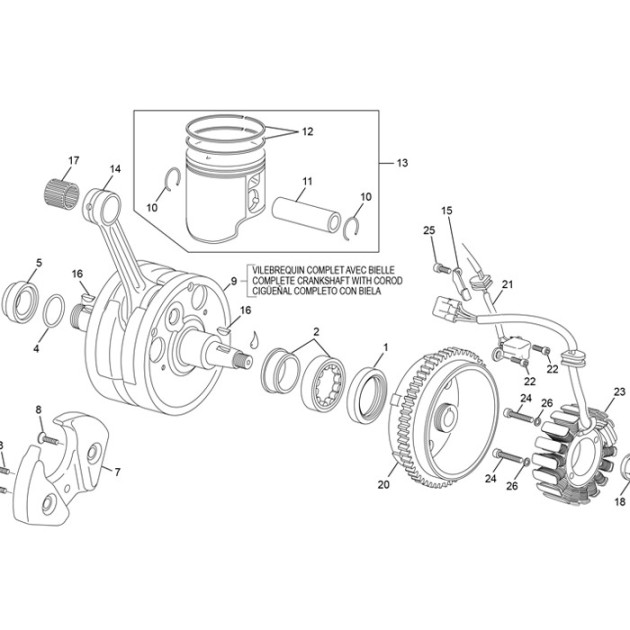 CRANKSHAFT ASSY 250/300 SE END EVO